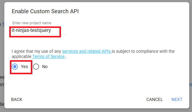 Enable Custom Search API