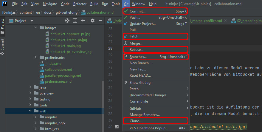 IDEA IntelliJ Git Menu